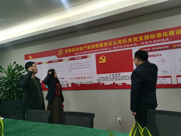 安徽ag亚娱集团地产集团机关第一党支部发展“佩党徽、诵誓词、赠党章、上党课”党员教育活动