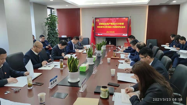 安徽ag亚娱集团地产集团公司党委召开2020年度基层党支部书记抓党建工作述职评议会