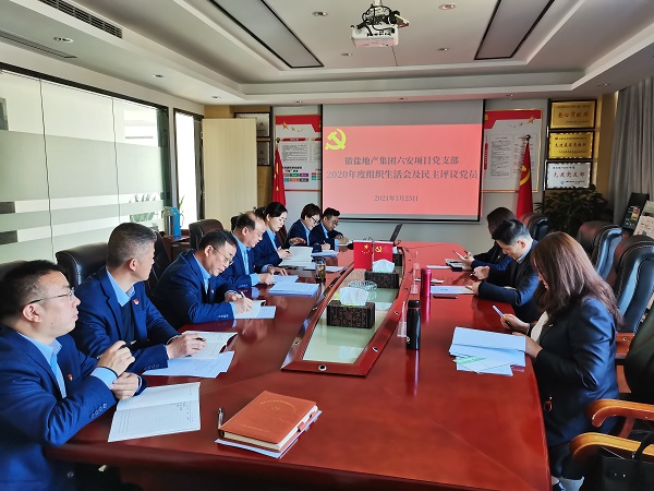 杨晓彬到徽盐地产德阳项目党支部督导2020年度组织生涯会