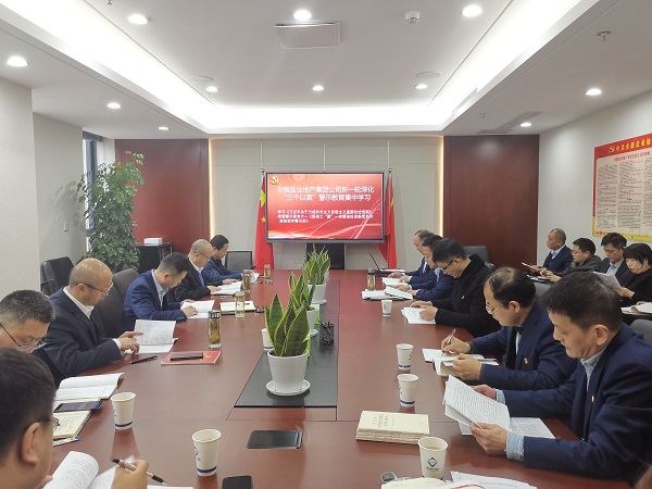 安徽ag亚娱集团地产集团公司发展新一轮深入“三个以案”警示教育集中进建