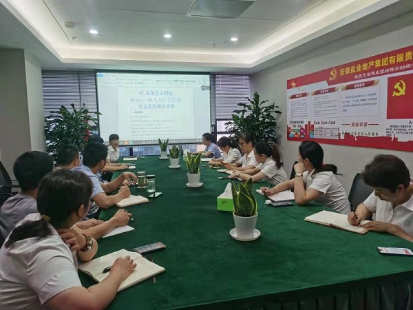 徽盐地产集团发展资金治理系统实操培训