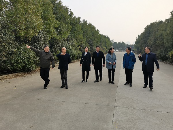 ag亚娱集团·(中国)官方网站